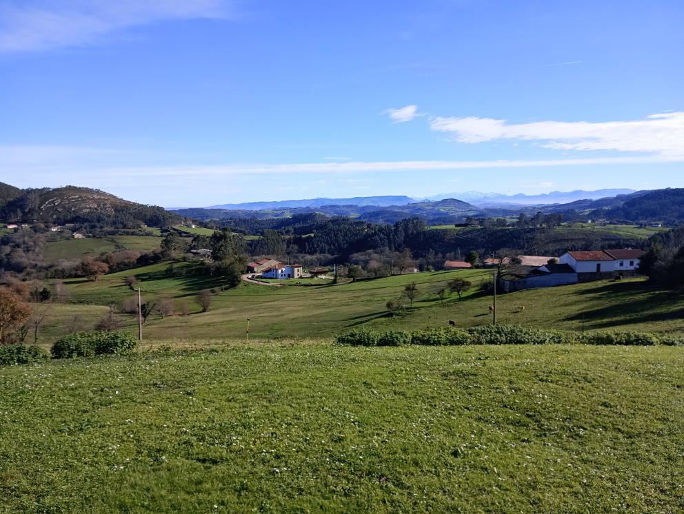 Oviedo, Gijón y Avilés a un paso