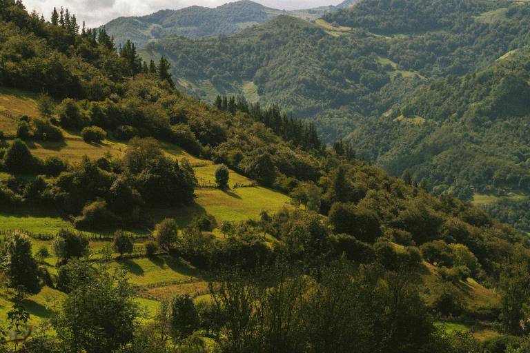 Senderismo, naturaleza y aire de campo