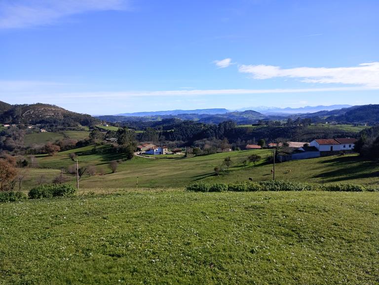 El Lucus Asturum y el patrimonio de Llanera