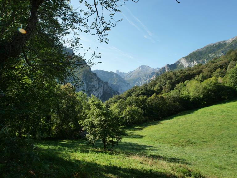 Praderías, montes y los Picos de Europa